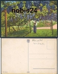 Winegrowers in the fruit vineyard *ca. 1920