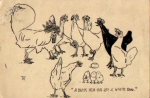 Chickens Birds Artist Card TK. or 8/3/1911