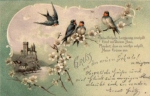 Swallows in a cherry branch o 10.3.1900
