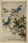 Chickadee birds in fir branch artist card o 20.1.1945