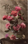 Birds feed each other roses bred. 10/02/1912