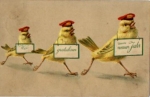 three chicks embossed card o ca. 1908