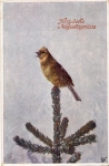 finch Bird Christmas tree from February 30, 1919