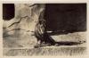 Halle Saale Zoological Garden male lion Pascha gebr. circa 1920