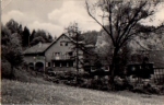 07607 Muehltal Waldgasthaus Walkmuehle o ca. 1950