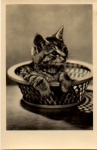 Cat in basket, used 06/12/1957