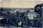 Hyeres Parkhotel an Palmtrees Avenue Département Var o 7.3.1924