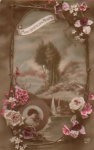 Frau Blumen Art Nouveau card o 11/12/1916