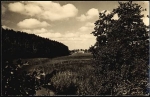 17255 Wustrow from Klenz Bridge to Seewalde *1962 Hanich0593