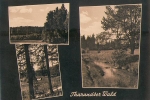 01737 Tharander Wald  1964 Hanich1663