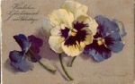 Pansies, artist card Catharina Klein o December 29, 1926