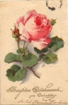 Rosenzweig with Knopse artist card Catharina Klein o August 26, 1928