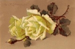 Catharina Klein yellow roses artist card used. 02/02/1917