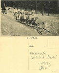 Hirschsprung bei Altenberg 5er Bob Jockel  *ca. 1906