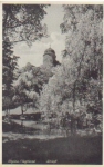 08499 Mylau Schloss  *ca. 1940