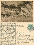 Stellingen Hamburg Hagenbeck Tierpark predatory animals o 7.9.1910