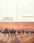 Camel caravan in Egypt * approx. 1910