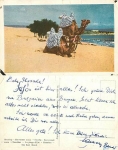 Camel born in Nessebar circa 1970