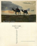 Camel in Egypt *ca. 1930