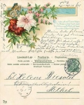 Butterfly with flowers o 7.1.1902