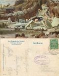 Polar bears Tierkpark Hagenbeck Hamburg o14.4.1925