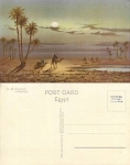 Camel in Egypt *ca. 1930