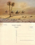 Camel in Egypt *ca. 1930