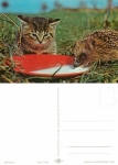 Cat with hedgehog * approx. 1976