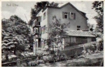 08645 Bad Elster Alpenrose o 14.9.1933