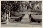 08645 Bad Elster, Stadion o 31.8.1931