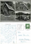 21300 Luneburg Heath Heidschnucke sheep o 18.9.1961