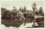 Egypt Alexandria In the Nuzha Garten *ca. 1910