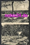 Trachau Dresden Bergwirtschaft o 2.9.1929
