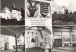08115 Schoenfels o 16.5.1984