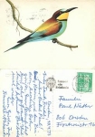 Birds o April 19, 1973