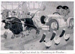 Motor vehicle humor car pulled by bull ducks cow *approx. 1960