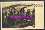 96515 Sonneberg Malschenalm o 31.7.1954