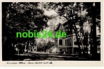 39619 Arendsee Strandhotel Seeblick  *ca.1950