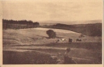 92681 Aschenhof landscape with cows no ppc classification * ca. 1930
