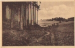 92681 Aschenhof Forest with distant view k. AK classification * approx. 1930