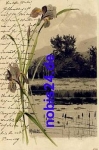 Landscape painting artist's card Mailick No. 4756 o 1902