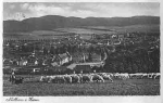 Northeim sheep herd o 8.8.1939