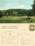 97688 Bad Kissingen forester's house  Team of oxen o 16.5.1909