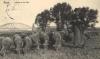 01594 Riesa Elbe Herd of sheep o 1917