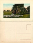 Schafe auf der Weide *ca.1910