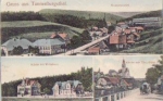 08262 Tannenbergsthal  *ca. 1920