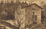 08209 Reiboldsgrun Waldhaus o ca. 1913