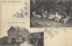 08209 Georgengruen Hotel und Restaurant o 22.12.1906