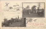 08209 Reiboldsgrun Gruss vom Waldgut Zobisch o 17.9.1902