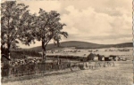 08269 Hammerbruecke-Thierberg o 21.8.1970